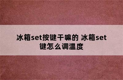 冰箱set按键干嘛的 冰箱set键怎么调温度